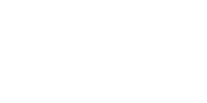 Logo Diag2france White